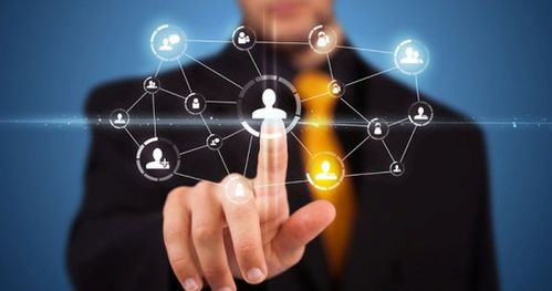 蓝奥信息 突破招商困局，赋能招商技巧的信息技术咨询服务