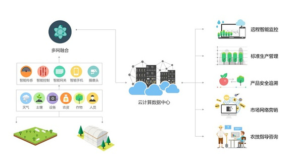 农业物联网技术助力柑橘产业信息化建设!